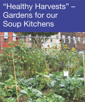 Community Events - Healthy Harvests