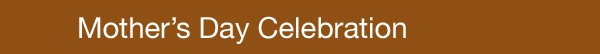 title bar